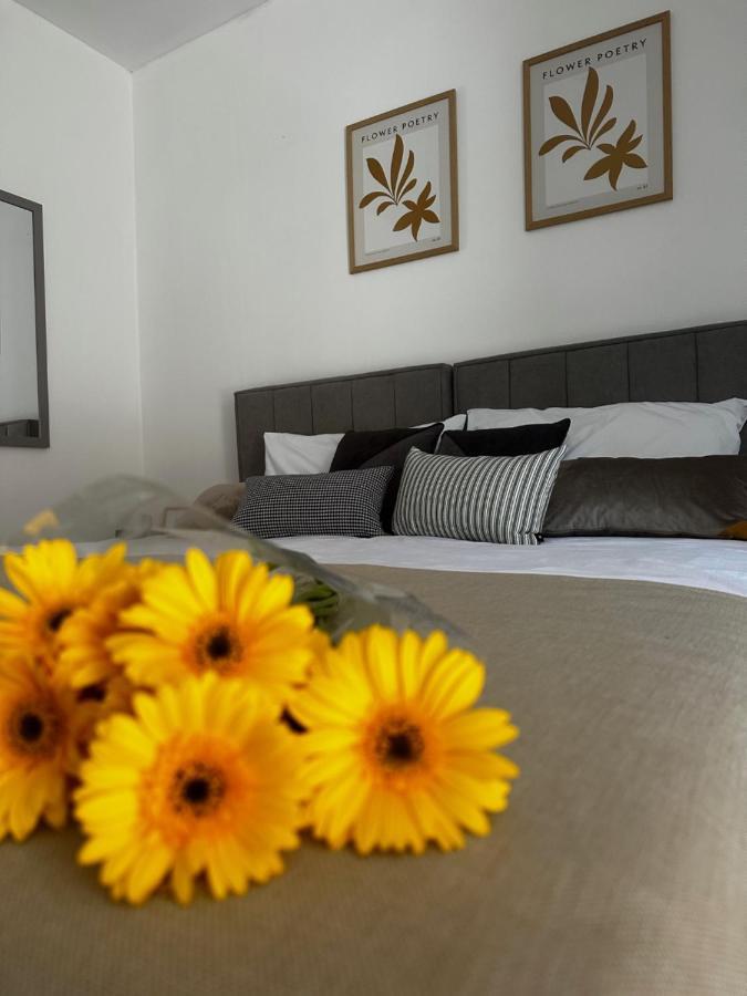 Studio Apartment Lu Rupa 외부 사진